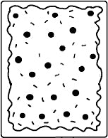 Pop Tart Charm (Limited Edition)